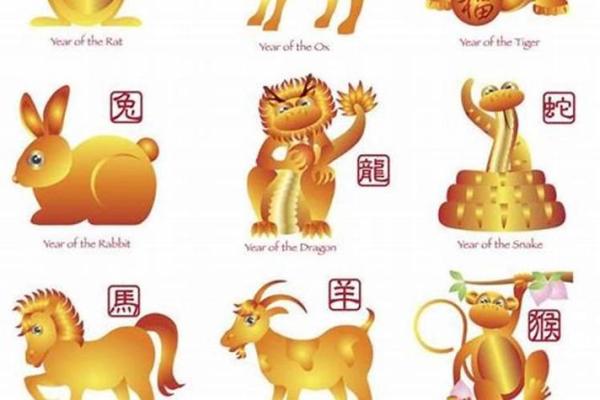 05年属什么生肖 属鸡犯冲的四个属相