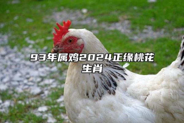 05年属什么生肖 属鸡犯冲的四个属相