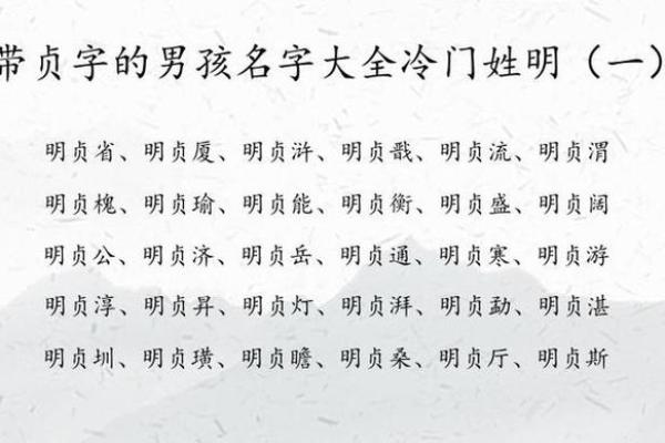 嘉字男孩名字 用嘉字起名(嘉字男孩名字 用嘉字起名好吗)