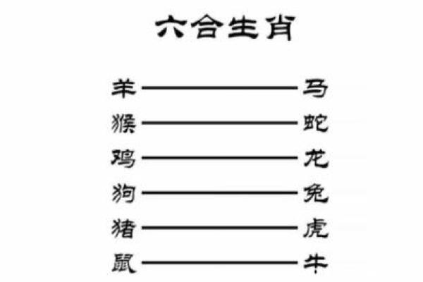 属猪的三合和六个合生肖是什么 属猪的和什么属相最配,相克相冲