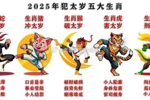 2025犯太岁五大生肖属相,2024犯太岁最凶的四大生肖