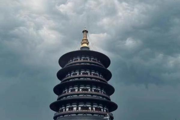 兔死狗烹是什么生肖(兔死狗烹是什么生肖最准确)