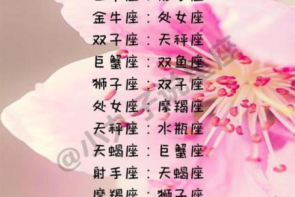 双子和天秤,双子和天秤座配对指数多少