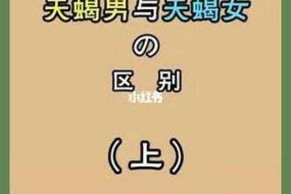 天蝎女双子男(天蝎女双子男谁收拾谁)
