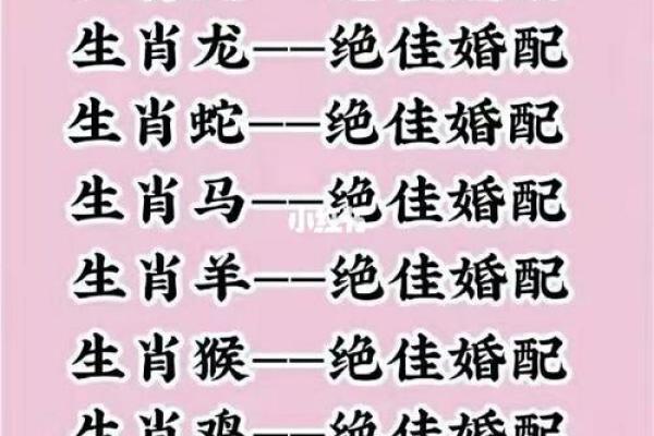女鼠男虎属相婚配好吗(女鼠男虎属相婚配好吗女鼠和男鸡)