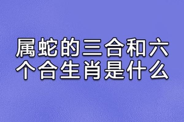 属兔的三合和六个合生肖是什么(属蛇的三合和六个合生肖是什么)