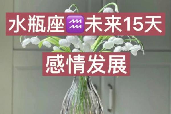 水瓶座和双子座 水瓶座和双子座冷战