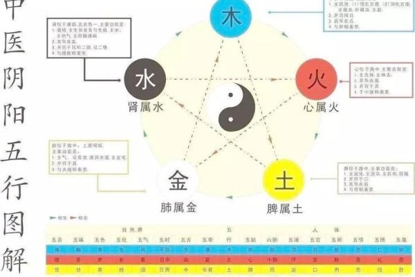 多字五行属什么，然字五行属什么
