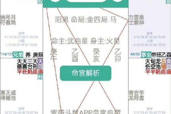 紫微化权为什么必有武曲化忌，武曲入命宫化忌紫微官禄化权