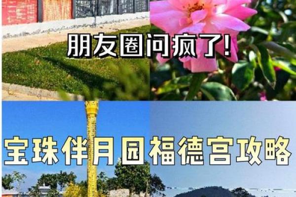 福德宫天同，福德宫天同陷