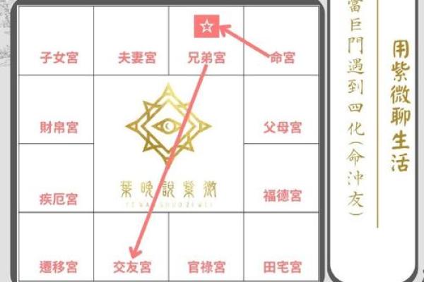 化忌在哪个宫最好，化忌在命宫有多丑