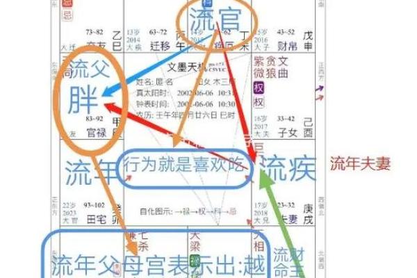 财帛宫天相，官禄宫天府财帛宫天相