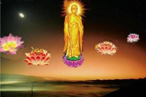 紫微星女孩什么意思，紫微星下凡的女孩