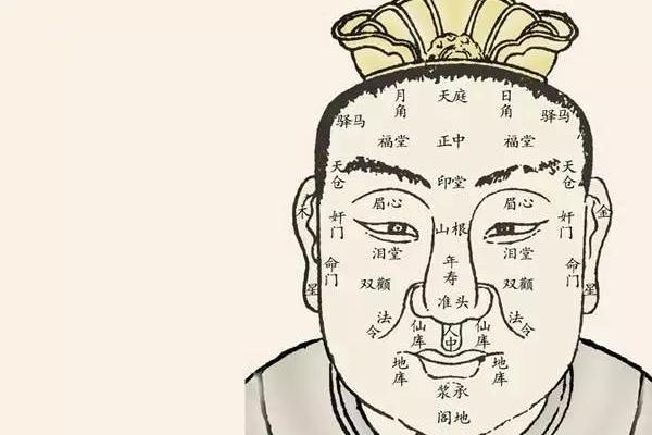 天相入财帛宫，天相入财帛宫女命