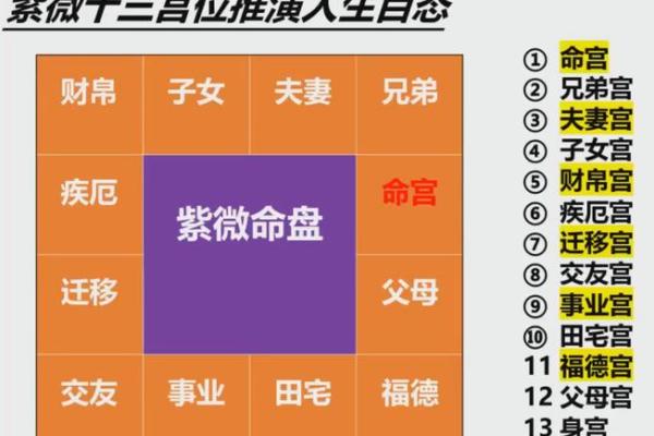 疾厄宫化忌，疾厄宫化忌入父母宫