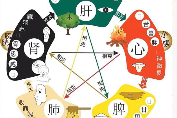 五行相生相克关系图，五行相生相克的顺序是什么