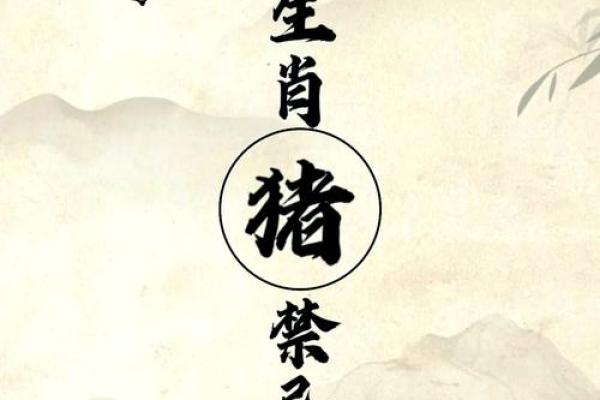 五行属水最吉利的字，五行属水最吉利的字用于公司