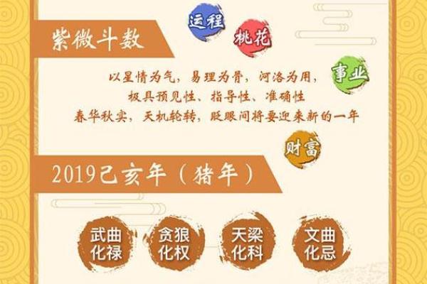 紫薇斗数流年运势，紫薇斗数流年运势详细免费