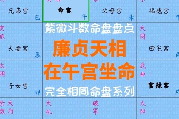 紫微天相 必有缺憾，紫微天相坐命是不是很惨
