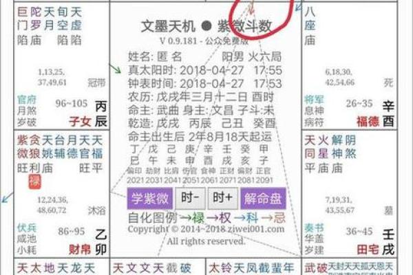 紫微斗数免费命盘，紫微斗数免费命盘详解2023