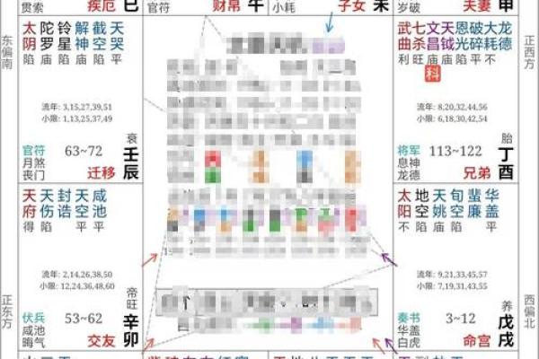 紫微斗数免费命盘，紫微斗数免费命盘详解2023