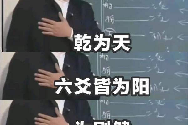 元亨利贞紫薇命盘在线排盘算命，元利亨贞紫微斗数排盘