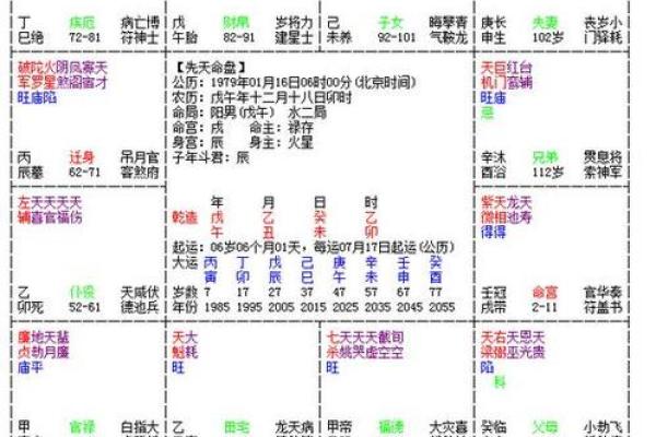元亨利贞紫薇命盘在线排盘算命，元利亨贞紫微斗数排盘