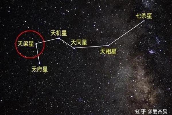 夫妻宫右弼星，夫妻宫右弼星入庙