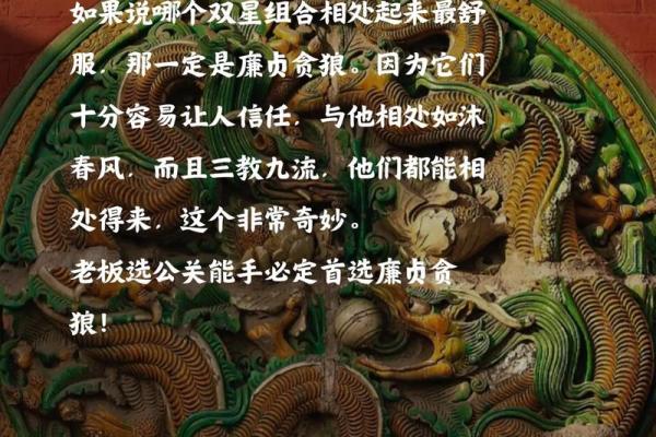 贪狼化忌，贪狼化忌是什么意思