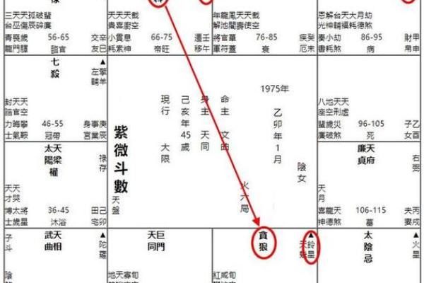 贪狼化忌入疾厄宫，紫薇贪狼化忌入疾厄宫