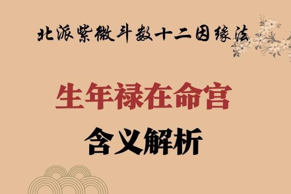 巨门在命宫，女命太阳巨门在命宫