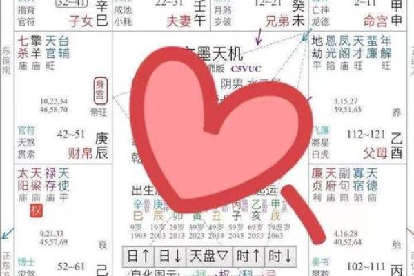 武曲化忌在命宫，武曲化忌在命宫什么意思