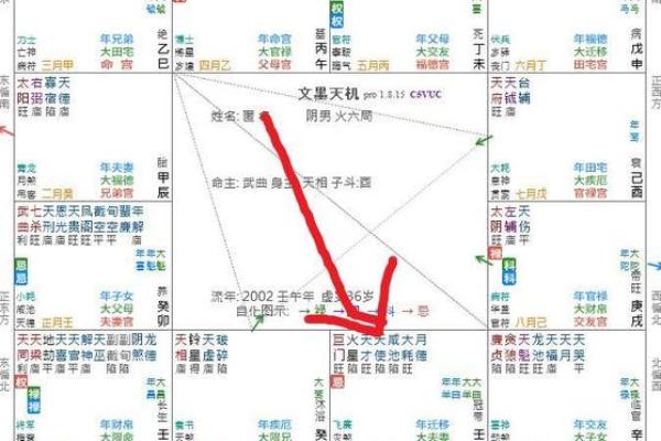 命宫巨门，命宫巨门旺是什么意思