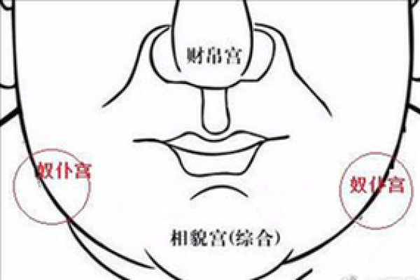 迁移宫看配偶家世地位，迁移宫看配偶家世地位紫薇