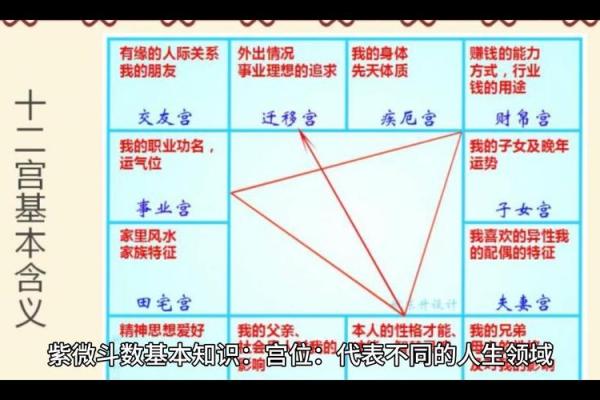 紫微命格，紫微命格怎么看