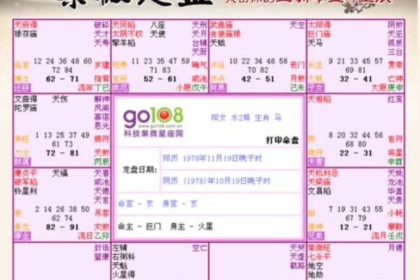 紫薇八字免费命盘详解，紫薇免费八字排盘