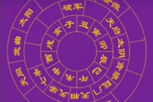 父母宫化忌是什么意思，父母宫化忌入命