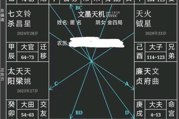 父母宫化忌是什么意思，父母宫化忌入命