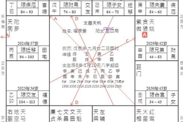 廉贞天相星在夫妻宫，廉贞天相星在夫妻宫戊子