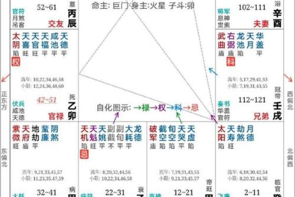 紫微斗数大限是什么意思，紫微斗数大禄是什么意思