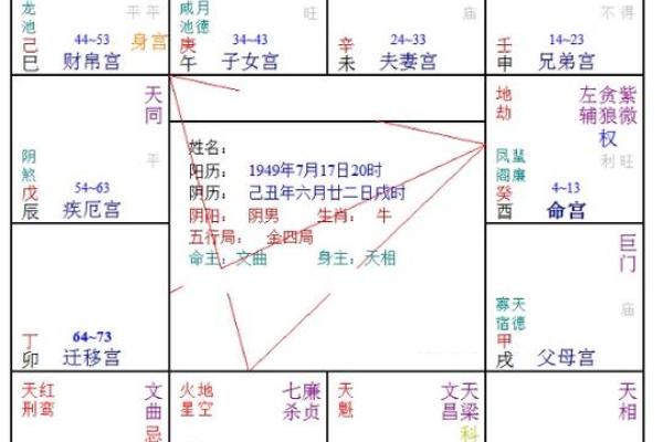 所有庙旺之星不怕化忌，庙旺得不