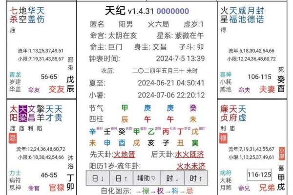 小南斗紫微斗数排盘软件，小南斗紫微斗数排盘软件最新版