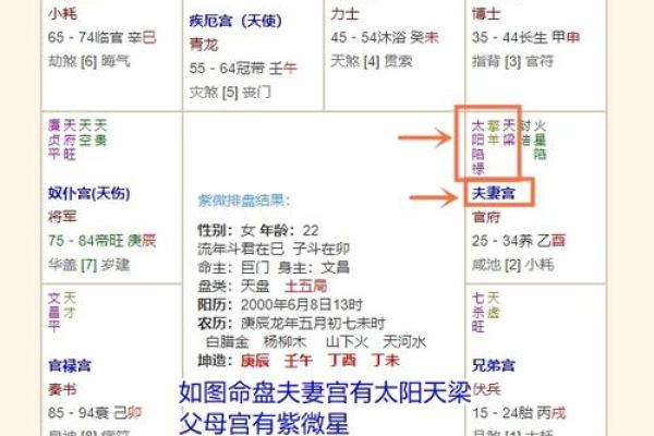 廉贞化忌在官禄宫，廉贞化忌在官禄宫冲夫妻宫