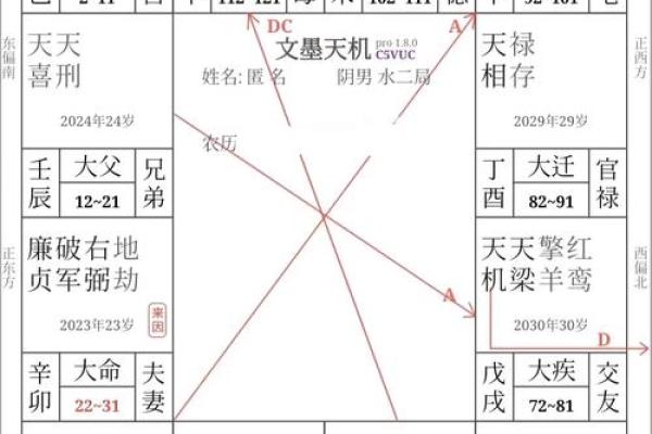 廉贞化忌在官禄宫，廉贞化忌在官禄宫冲夫妻宫
