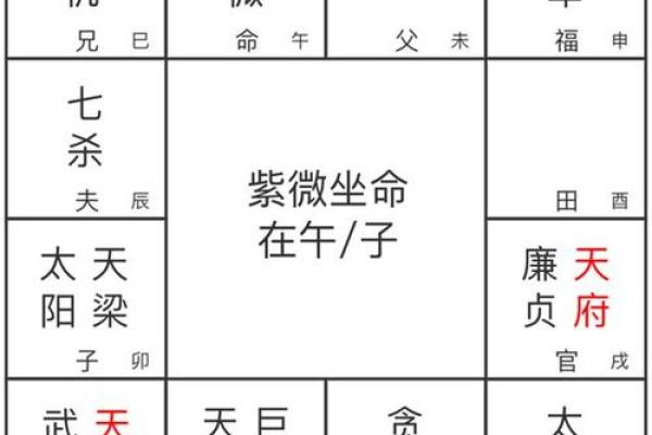 紫微贪狼大限命宫己卯，紫微贪狼大限命宫己卯什么意思