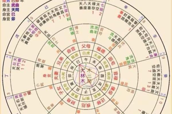 国家级大官的紫微命格，紫微斗数 高官
