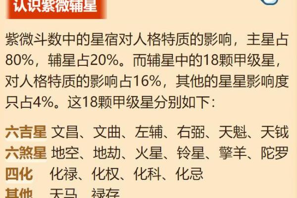 国家级大官的紫微命格，紫微斗数 高官