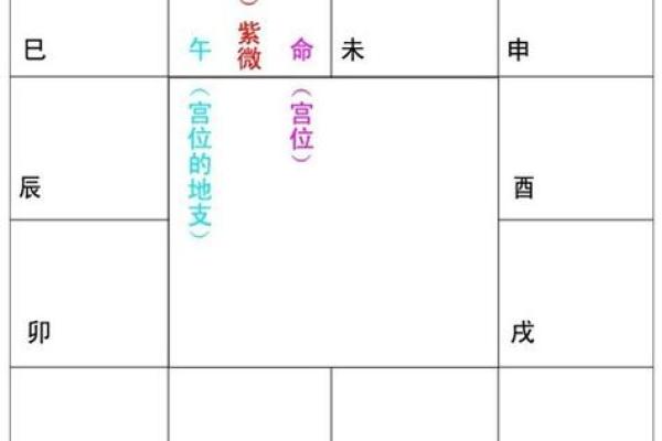 免费紫微斗数在线排盘，免费紫微斗数在线排盘算命