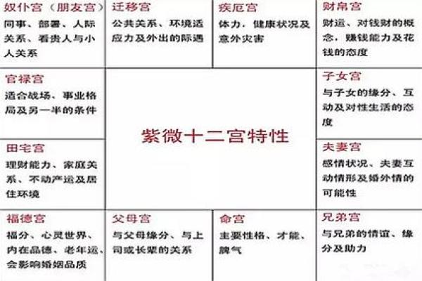 天相在夫妻宫，天相在夫妻宫配偶身材