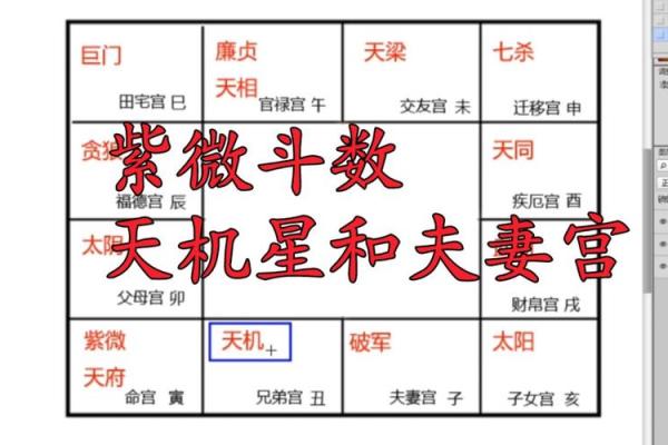 天梁星在夫妻宫，天梁星在夫妻宫男命